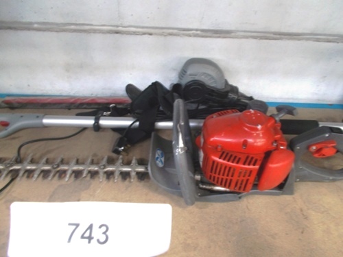 eckman telescopic hedge trimmer