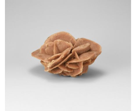 A piece of gypsum, or 'desert rose', with flat sheets of frosted brown crystals; in white card tray.  270 grams, 10cm (4"). F