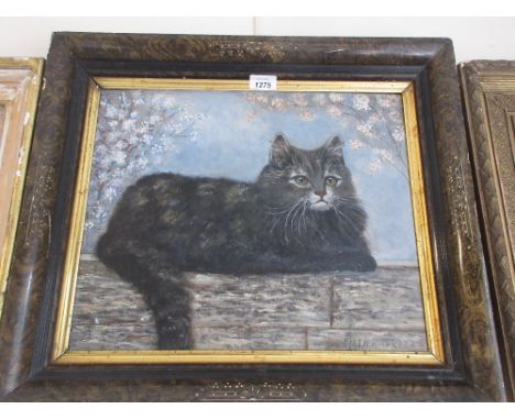 Armena Greene, signed oil, portrait of a cat seated on a wall, 14ins x 17ins
