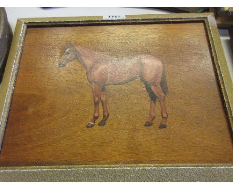 Attributed to F. Mabel Hollams, mid 20th Century oil on board, portrait of a horse, 9ins x 12ins
