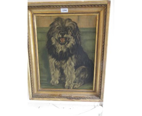Early 20th Century oil on canvas, portrait of a dog, gilt framed, 18ins x 14ins
