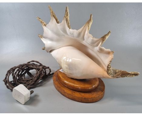 Unusual table lamp in the form of a large marine conch shell on oak stepped base.  (B.P. 21% + VAT) 