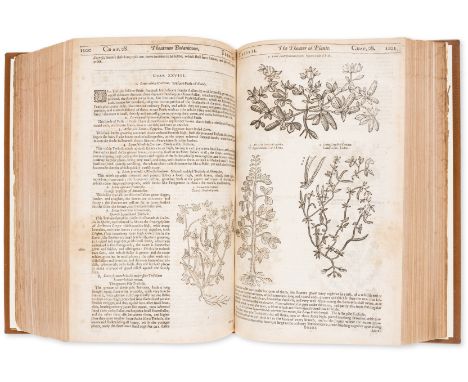 Herbal.- Parkinson (John) Theatricum Botanicum: The Theater of Plants, or, an Herball of a Large Extent, first edition, hand-