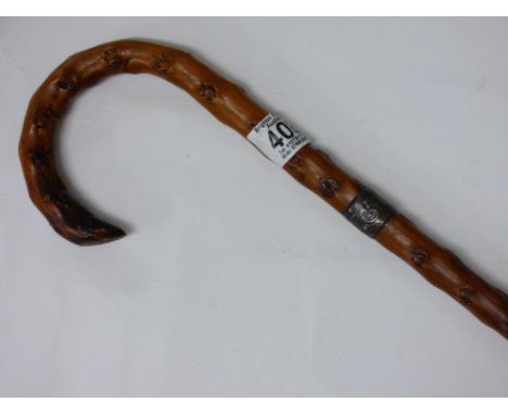 BLACKTHORN WALKING STICK