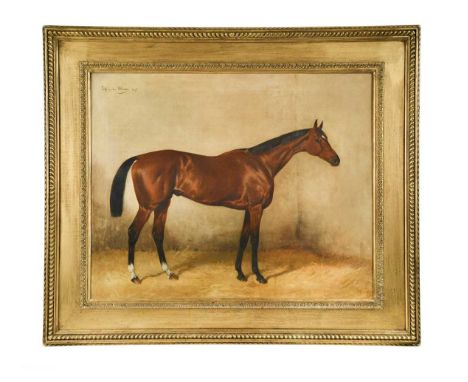 Portrait of a bay horse with white socks on its hind legs in a stablesigned and dated 'Julius von Blaas. 1895' (upper left)oi
