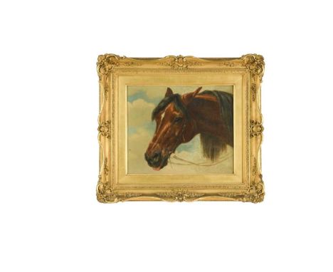 A study of a horseinscribed 'J F H 1851' (lower right)oil on panel24.5 x 29cmProvenance:Landwade Hall, Exning, SuffolkConditi