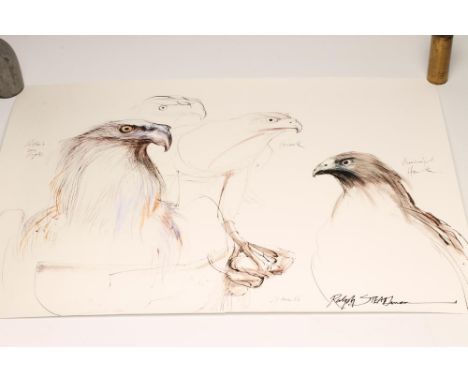 RALPH STEADMAN (b.1936), Pallas's Sea Eagle, Goshawk and Broadwinged Hawk, serigraph, signed, 23 1/2" x 31" , unframed  (Est.