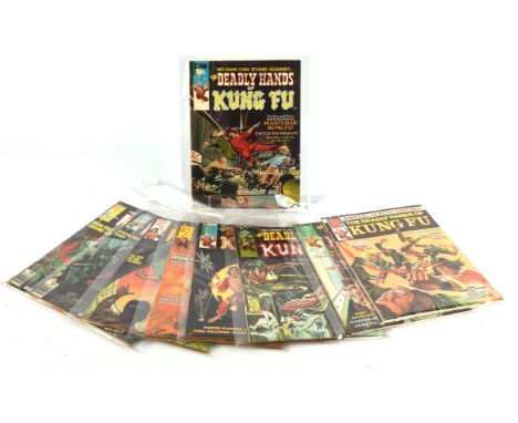 The Deadly Hands of Kung-Fu, Howard the Duck, Kull and the Barbarians and others: A run of 17 issues (Curtis / Marvel Comics,