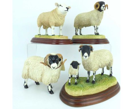 BORDER FINE ARTS; four collectors' figures, three on wooden plinths and boxed, comprising 'Sheep Breeds' A1248, 'Swaledale Ew