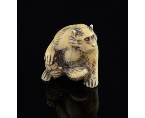 Japanese carved Ivory Netsuke designed as a seated monkey signed on base 'School of Massano'Minor splits throughout.