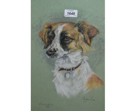 Marjorie Cox, pastel portrait of a dog, signed, dated 1979, 17ins x 13ins, framed