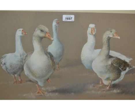 K. Mullen, S.W.A. pair of framed pastel drawings, studies of geese