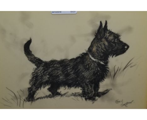 Cecil Aldin, signed charcoal and pencil on ivorine, portrait of a dog ( Scottie ), 8.5ins x 10.5ins CONDITION REPORT Sorry we
