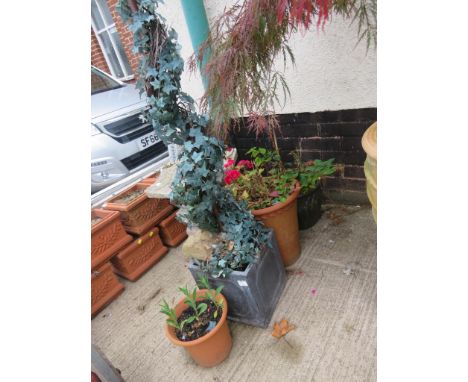 THREE GARDEN POTS WITH CONTENTS AND A METAL PLANTER WITH GROWING FRAME AND FAUX IVY