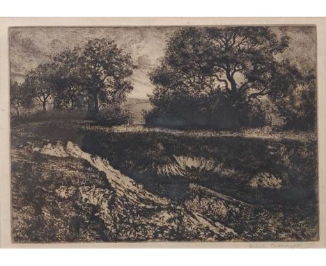 Isabel Codrington (1874-1943)Coming storm- Wistler's Wood, Woldingham SurrySigned Isabel Codrington (lower right) etching on 
