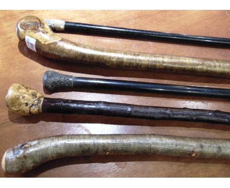 EIGHT ASSORTED WALKING STICKS  together with two ebonised canes; and a shooting stick, (11).