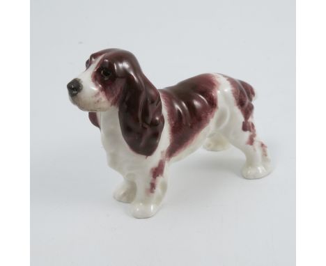 A Royal Worcester model, of a springer spaniel, height 2.25ins   Condition report:  Minor crazing