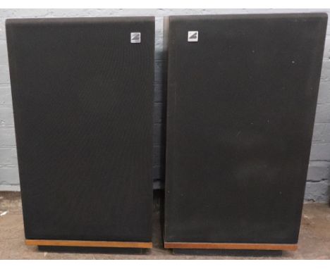 A pair of Electro-Voice loud speakers, Interface B Series III speaker system, 73 x 41cm (2).