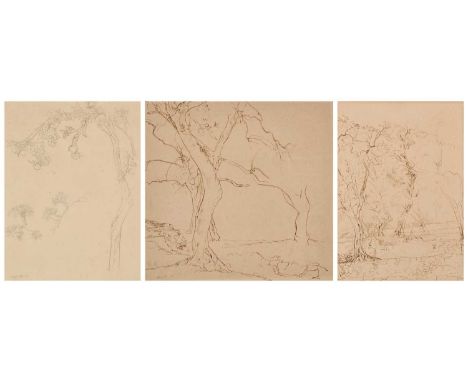 THREE STUDIES OF MEDITERRANEAN TREES(i) pencil on paper (ii) and (iii) sepia ink on paper (i) signed and dated Albert R 11 lo