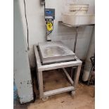 METTLER TOLEDO mod. Panther S/S Mobile Platform Scale on SS Frame w/ Lockable Casters, S/S Platform