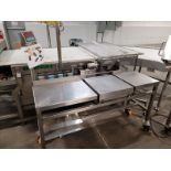 M1 S/S Platform Scale, with Approx. 18 In. L x 18 In. W Weight Platform, with Digital Read Out,