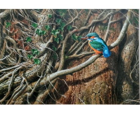 Michael (Mike) Jackson (b.1961), KINGFISHER, gouache and watercolour, framed, mounted, signed and dated 1991, 29 x 41.5 cm wi