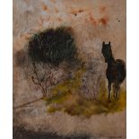 Tessa Newcomb (b.1955, British contemporary), oil on board, 'Walking By', a horse in woodland,