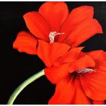 P.M Lynch (20th Century), acrylic on canvas, 'Red Lily', initials to lower right, measuring 50cm x