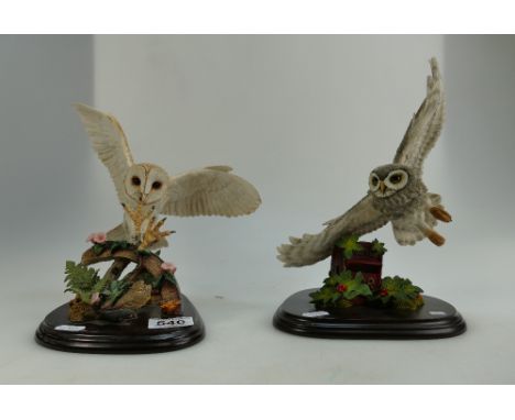 A collection of large Country Artists resin figures (one boxed) to include Barn Owl in flight and Little Owl in flight (2) He