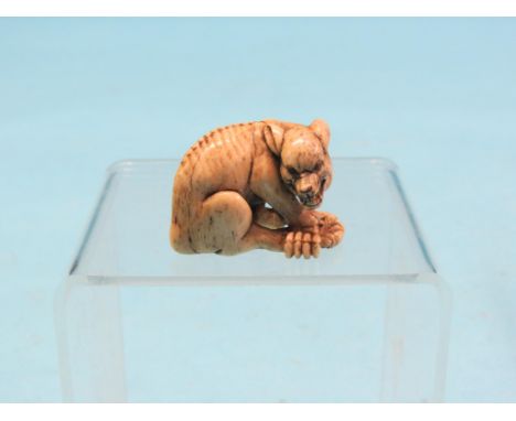 A Japanese bone netsuke, Meiji period, recumbent dog with crab, signed, 1.5in. high SEE ILLUSTRATION