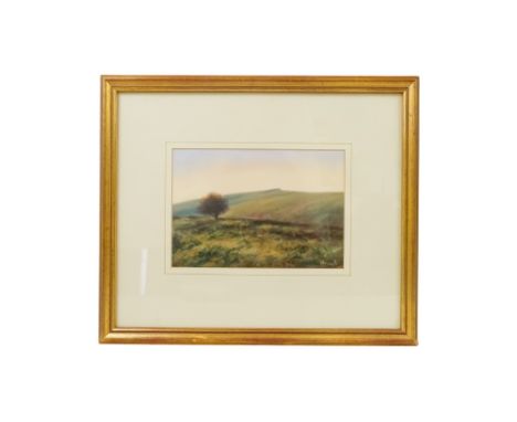 Martyn WRENCH  Crooks Peak, Somerset Oil on canvas  Signed lower right, titled and dated 2001 verso Framed and glazed  Pictur