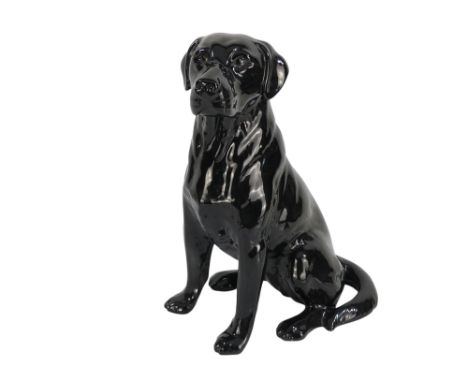 A Beswick Black Labrador - in a seated pose, No. 2314, 36cm high.