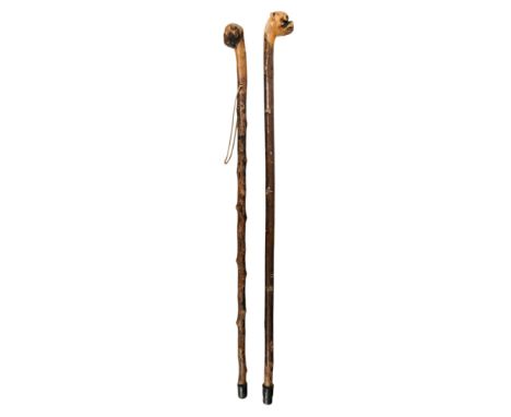 An early 20th century walking cane - the handle modelled as the head of a boxer dog, 84cm long, together with another cane. (