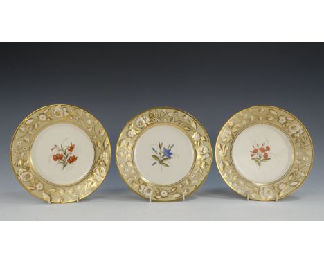 Three Chamberlains Worcester botanical plates - circa 1830, the moulded border with gilt details, the centre decorated with f