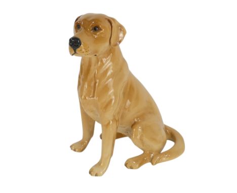 A Beswick Golden Labrador - in a seated pose, 34cm high.