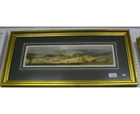 Patricia A Regnart, Taynton - limited edition colour etching 1974 - signed and dated in pencil - 11 x 43cm