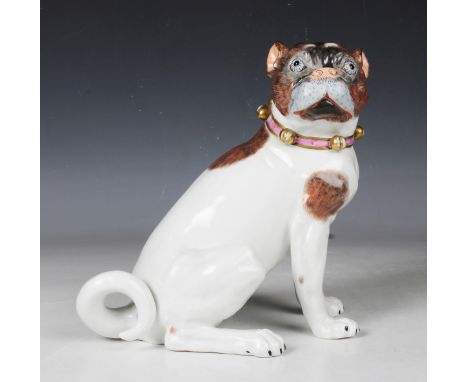 A Dresden porcelain Meissen style model of a pug, 20th century, typically modelled seated and wearing a gilt bell collar, und