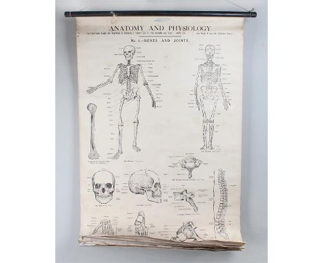 Collection of First Aid posters, to include descriptions of skeletons, Tourniquet poster, etc, (qty)