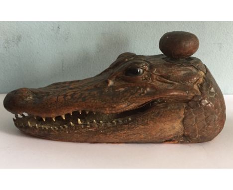Vintage inkwell a stuffed Caiman head