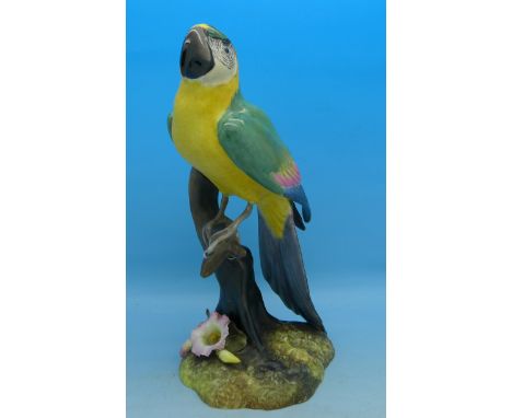 A Royal Crown Derby figure of a macaw, 18cm