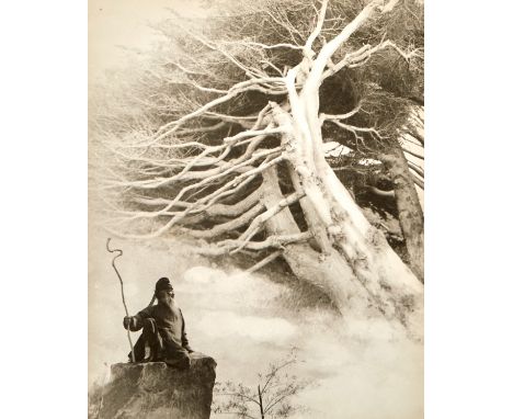 Chin San Long (Lang Jingshan) (Chinese, 1892-1995). Photograph titled "Zhang Daqian (Cypress Trees)," executed in 1963, depic