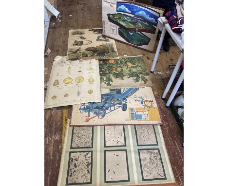 A selection of vintage educational wall charts shipping unavailable