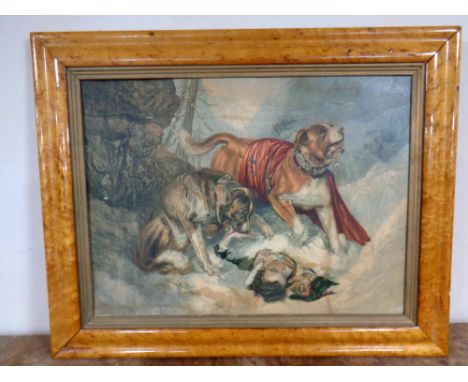 A 19th century print after Landseer 'St. Bernards in the snow' in maple frame.