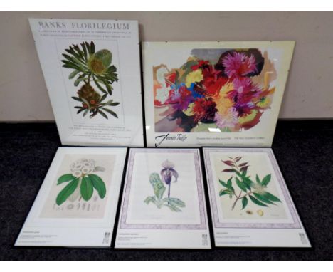 A Banks' Florilegium print - Specimens collected by Captain James Cook, together with four further Kew Gardens prints 