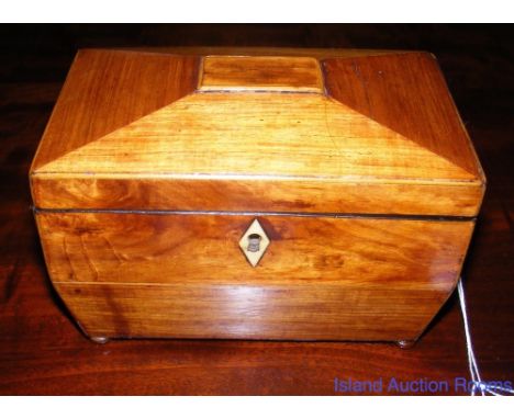 A casket shaped rosewood two compartment tea caddy