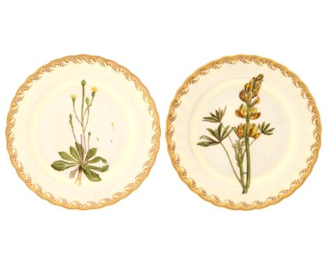 A PAIR OF DERBY BOTANICAL DESSERT PLATES, 1795&nbsp; with gilt harebell border with scalloped rim, 23cm diam, painted mark, 1