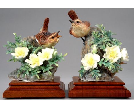 A PAIR OF ROYAL WORCESTER MODELS OF A HEN WREN AND COCK WREN AND BURNET ROSE, MODELLED BY DOROTHY DOUGHTY, C1964 walnut plint