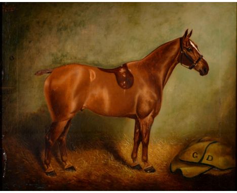 HERBERT H ST JOHN JONES (1872-1939)&nbsp; PORTRAIT OF "RUFUS" A SADDLED HORSE IN A LOOSE BOX&nbsp; &nbsp;signed and inscribed