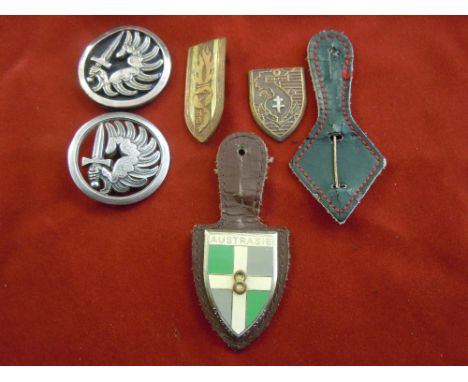 French Foreign Legion collection - Promotion badges 'Austrasie 8' and Free French army, 'HB' Promotion badge and two infantry