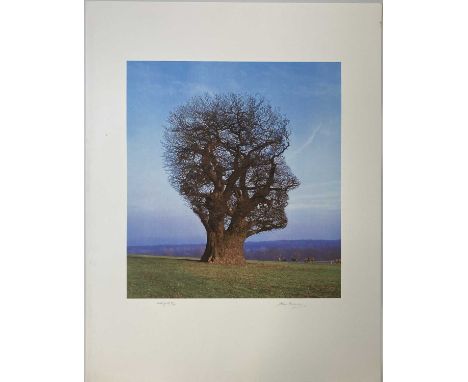 PINK FLOYD / STORM THORGERSON TREE OF HALF LIFE SIGNED FINE ART PRINT. . A signed, high-quality fine art print of an image by